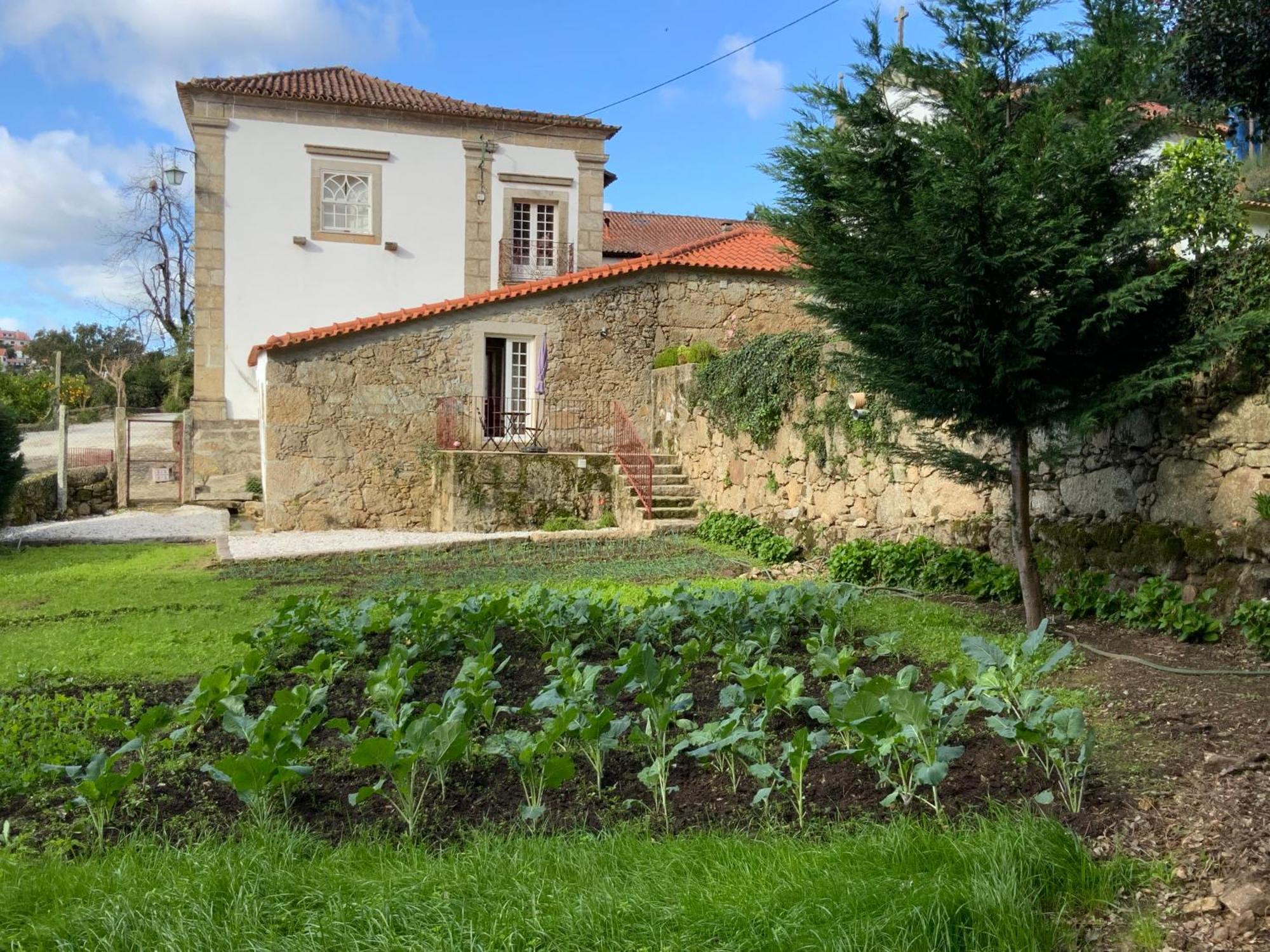 Barroselas Quinta Do Bravio 빌라 외부 사진